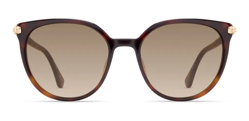 Stuart Weitzman WZN8022 Sunglasses - view 6